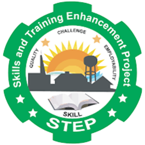 Skills and Training Enhancement Project