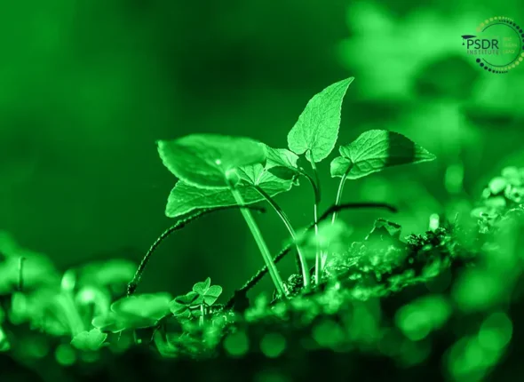 EMAS Legal Compliance in Environmental Management