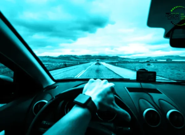 Driving Learner (Basic Driving Skills)