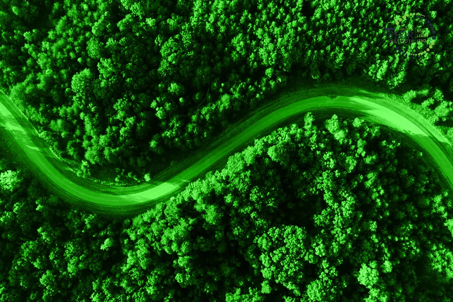 EMAS Risk Assessment and Environmental Impact Analysis