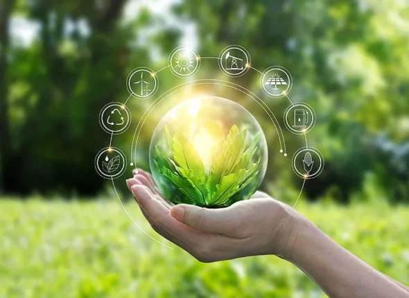 Environmental Management