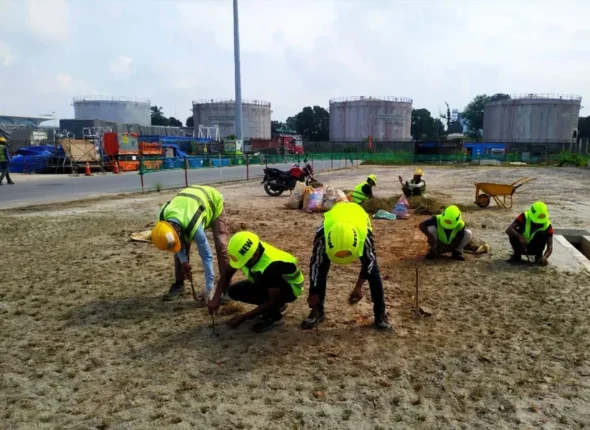 Landscaping and Groundskeeping